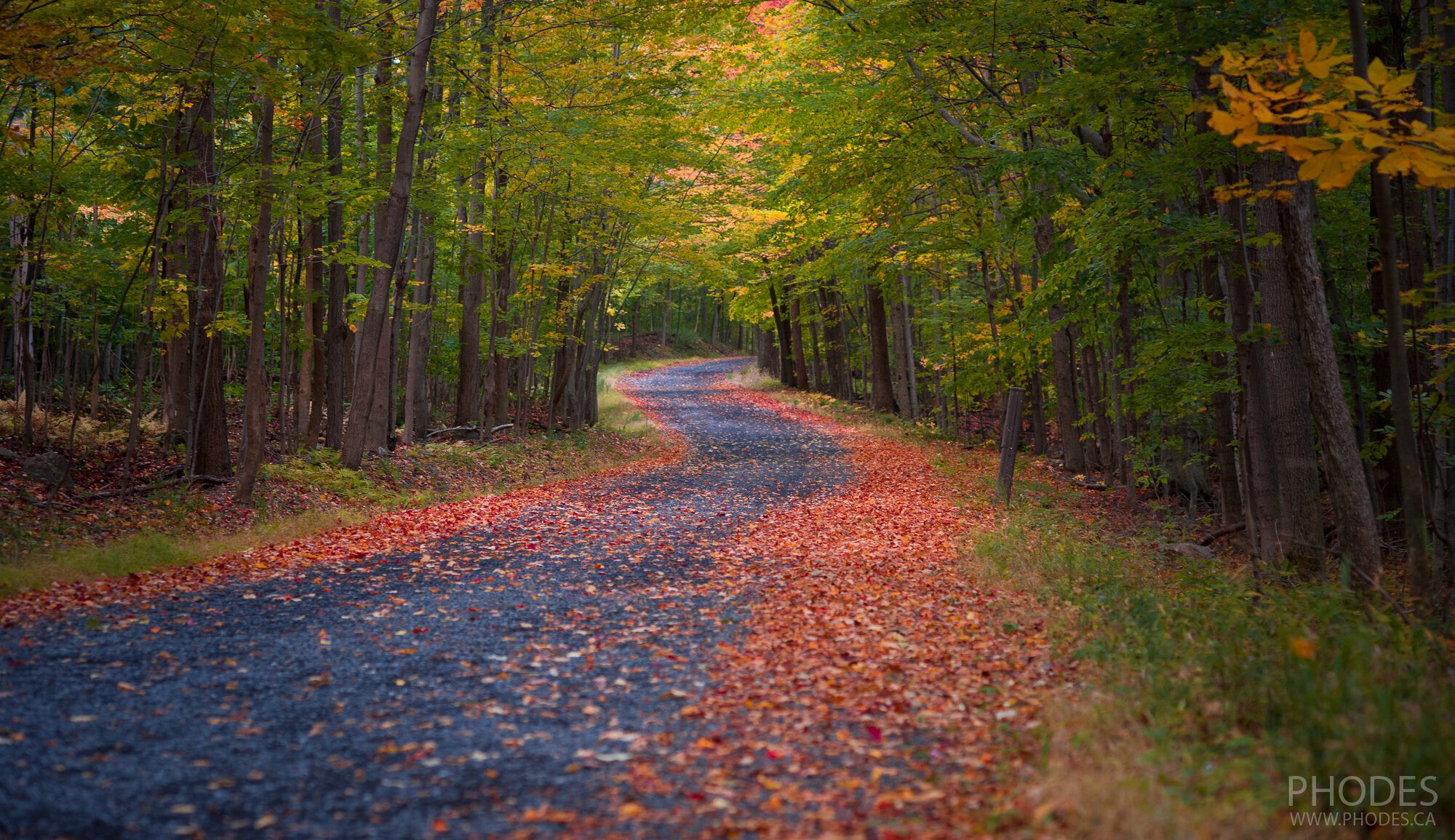 Autumn in Canada, Saint Bruno National Park