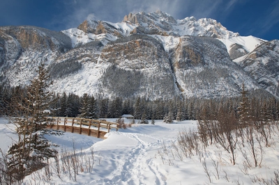 Cascade Ponds In Winter Banff