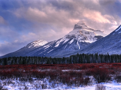 Landscape From Bow Valley Parkway Winter Banff