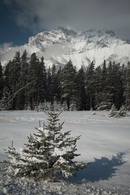 Mountain Landscape In Winter Banff