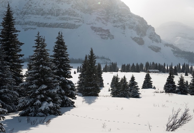 Sunny Day Lake Louise Winter Banff
