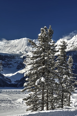 Winter Landscape Around Lake Louise In Winter