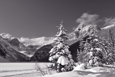 Winter Sunny Day On Lake Louise Monochrome