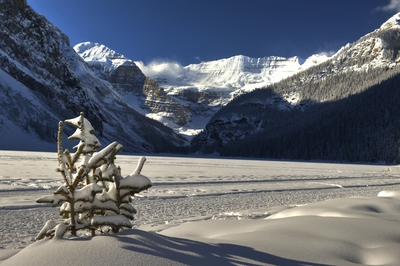 Winter Sunny Day On Lake Louise