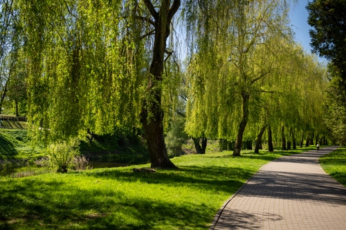  Brest Fortress 00012