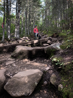 09 Hiking Trail Mont Du Lac Des Cygnes