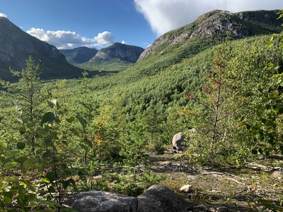 12 Hiking Trail Mont Du Lac Des Cygnes