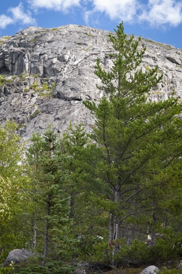 32 Hiking Trail Mont Du Lac Des Cygnes