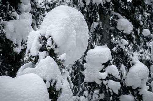  Lake Louise Winter 00001