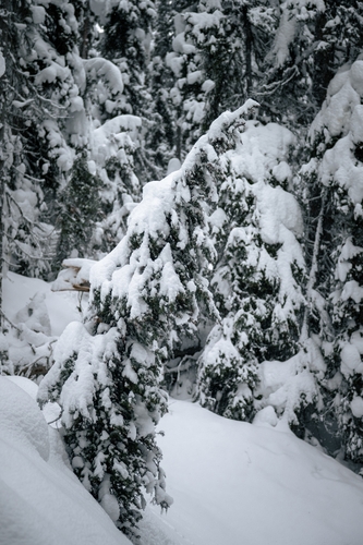  Lake Louise Winter 00002