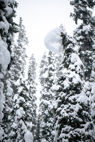  Lake Louise Winter 00024