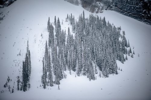  Lake Louise Winter 00038