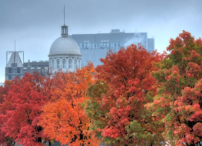 Bonsecours Market Old Port Fall Colors Montreal
