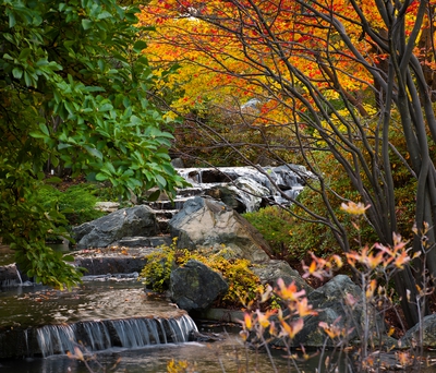 Botanical Garden Waterfall Montreal